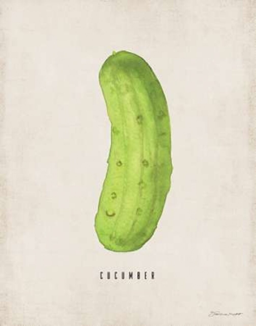 Cucumber Poster Print by Stephanie Marrott - Item # VARPDXSM15514